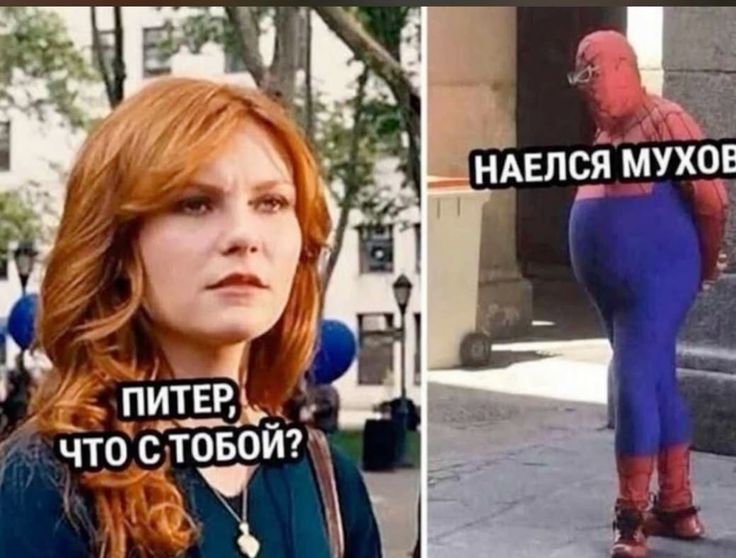 ПИТЕР, ЧТО С ТОБОЙ? НАЕЛСЯ МУХОВ