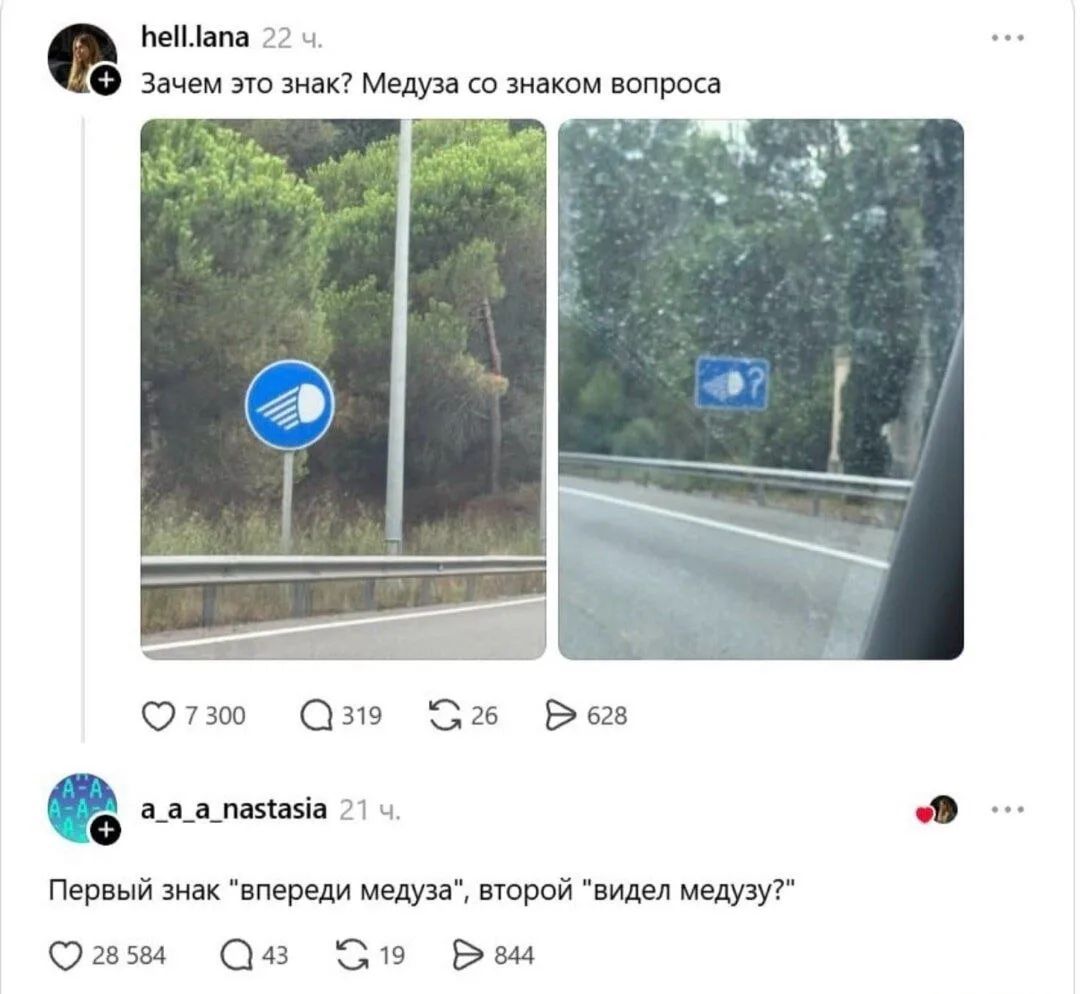 hell.lana: Зачем это знак? Медуза со знаком вопроса. a_a_a_nastasia: Первый знак впереди медуза, второй видел медузу?