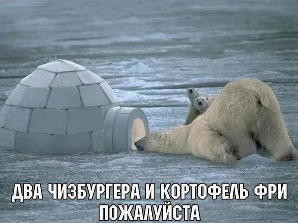 ДВА ЧИЗБУРГЕРА И КОРТОФЕЛЬ ФРИ ПОЖАЛУЙСТА