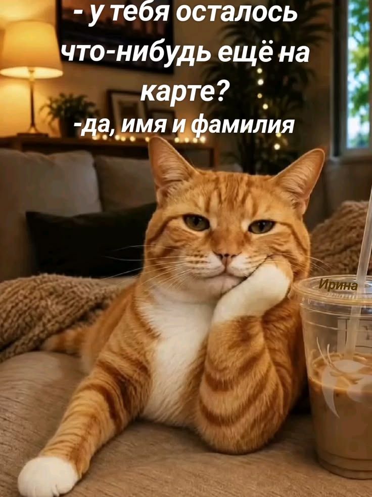 - У тебя осталось что-нибудь ещё на карте? - Да, имя и фамилия