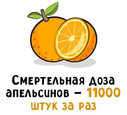 Смертельная доза апельсинов – 11000 штук за раз