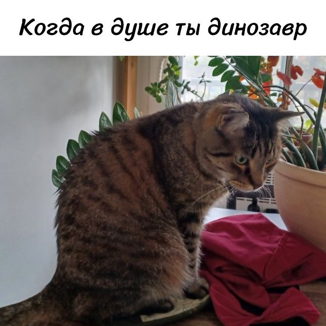 Когда в душе ты динозавр