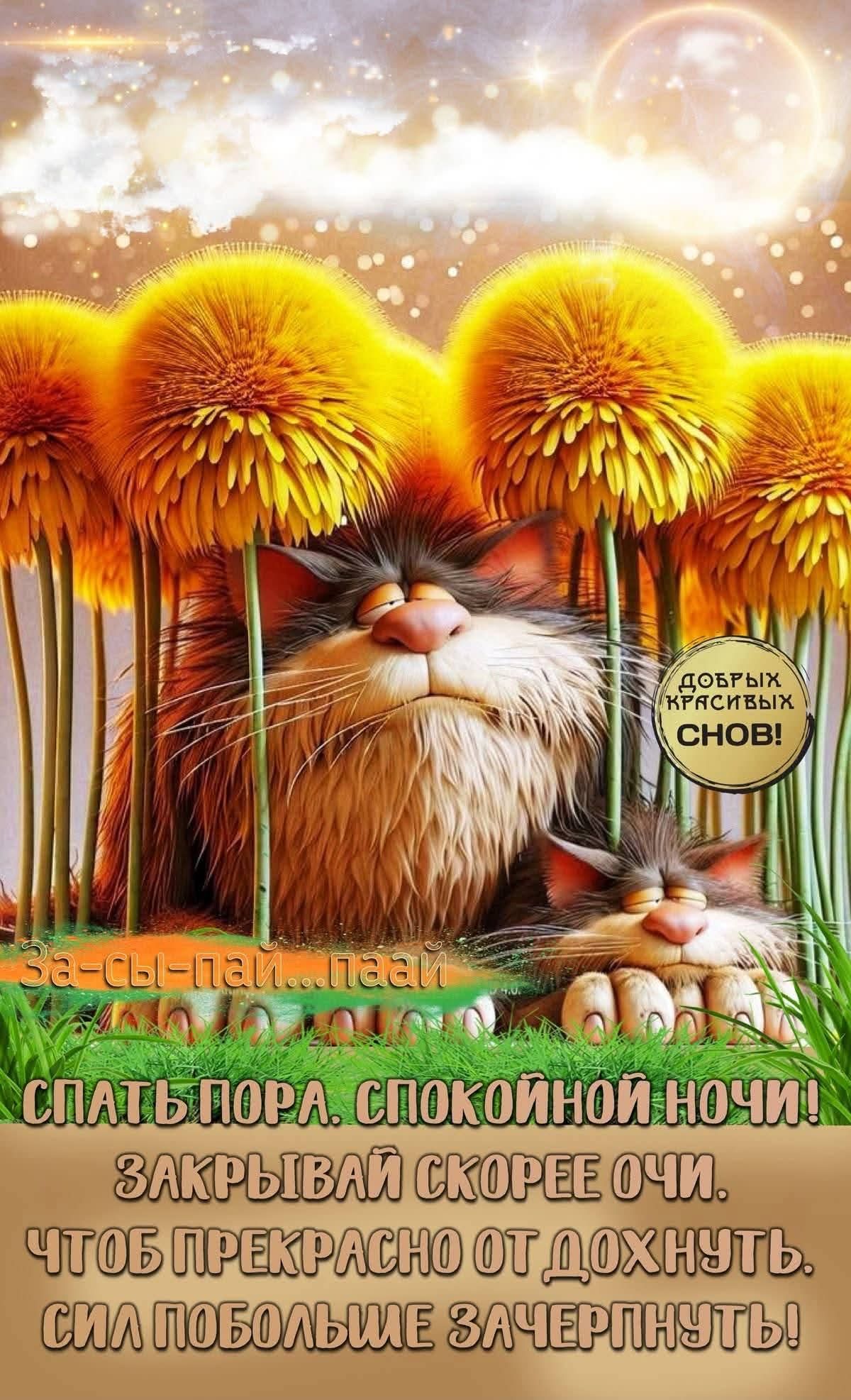 ДОБРЫХ КРАСИВЫХ СНОВ! За-сы-пай...паай. СПАТЬ ПОРА. СПОКОЙНОЙ НОЧИ! ЗАКРЫВАЙ СКОРЕЕ ОЧИ. ЧТОБ ПРЕКРАСНО ОТДОХНУТЬ. СИЛ ПОБОЛЬШЕ ЗАЧЕРПНУТЬ!