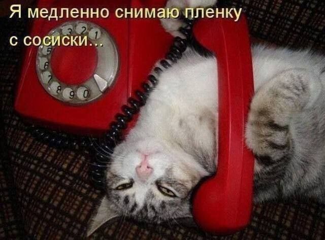 Я медленно снимаю пленку с сосиски...