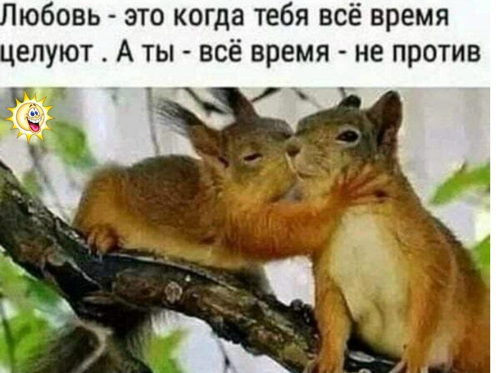 Любовь - это когда тебя всё время целуют. А ты - всё время - не против