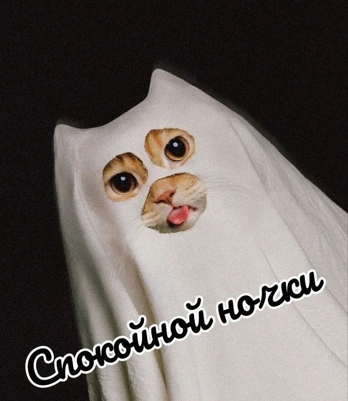 Спокойной ночки