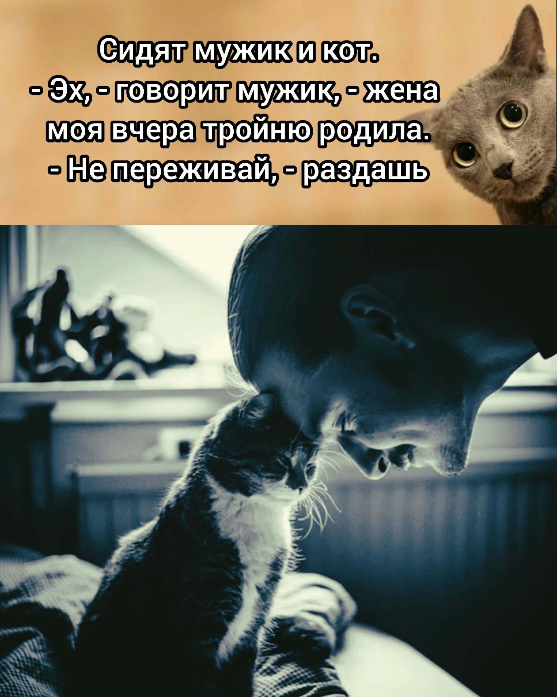 Сидят мужик и кот. - Эх, - говорит мужик, - жена моя вчера тройню родила. - Не переживай, - раздашь