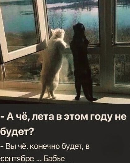 - А чё, лета в этом году не будет?
- Вы чё, конечно будет, в сентябре... Бабье