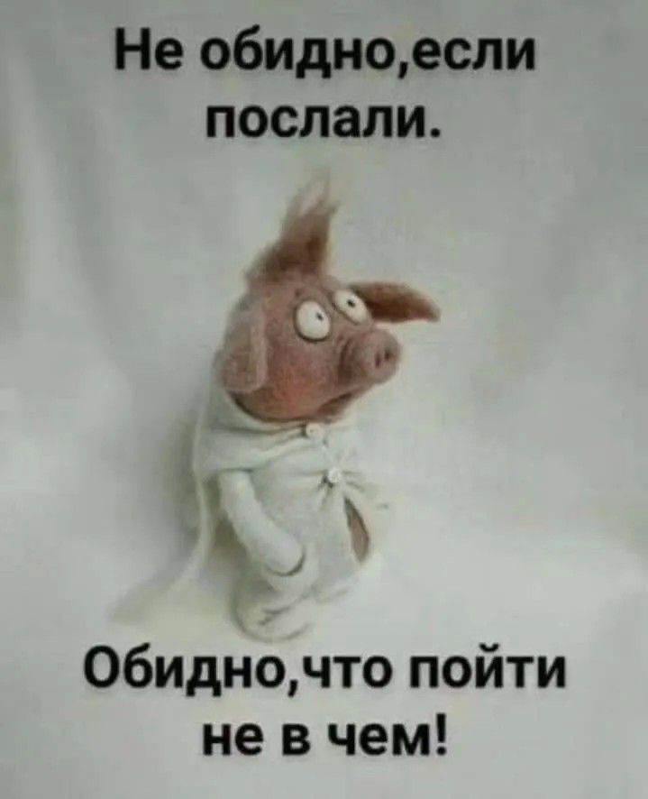 Не обидно, если послали. Обидно, что пойти не в чем!