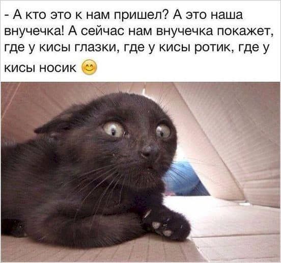 - А кто это к нам пришел? А это наша внучечка! А сейчас нам внучечка покажет, где у кисы глазки, где у кисы ротик, где у кисы носик 😊
