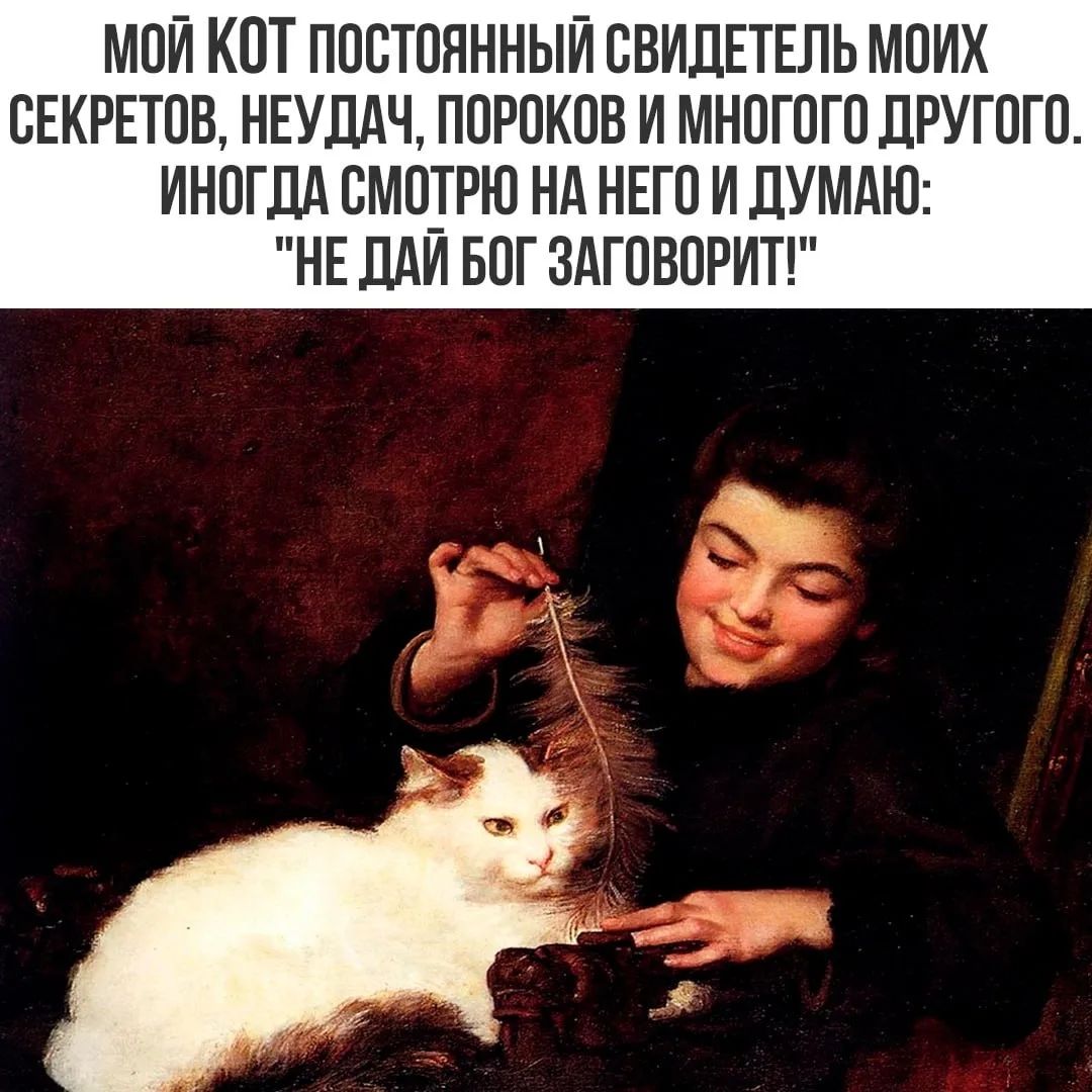 МОЙ КОТ ПОСТОЯННЫЙ СВИДЕТЕЛЬ МОИХ СЕКРЕТОВ, НЕУДАЧ, ПОРОКОВ И МНОГОГО ДРУГОГО. ИНОГДА СМОТРЮ НА НЕГО И ДУМАЮ: 