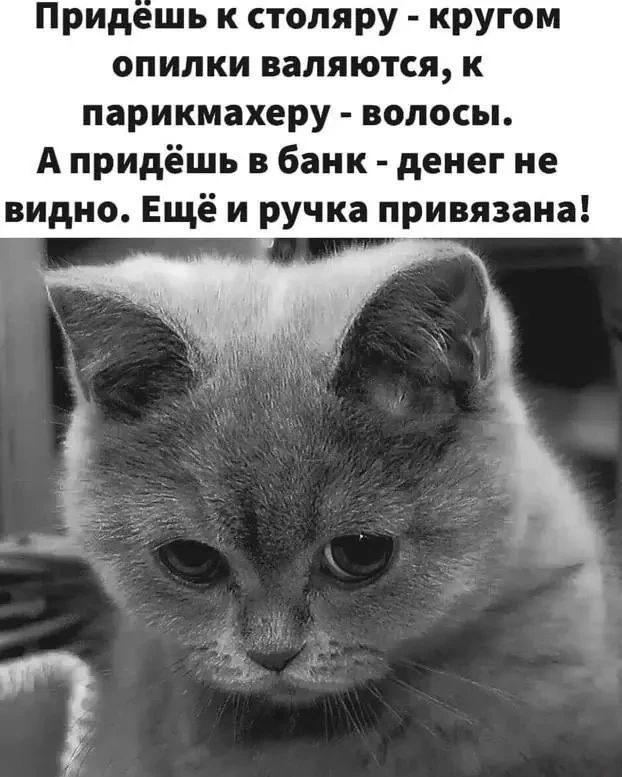 Придёшь к столяру - кругом опилки валяются, к парикмахеру - волосы. А придёшь в банк - денег не видно. Ещё и ручка привязана!
