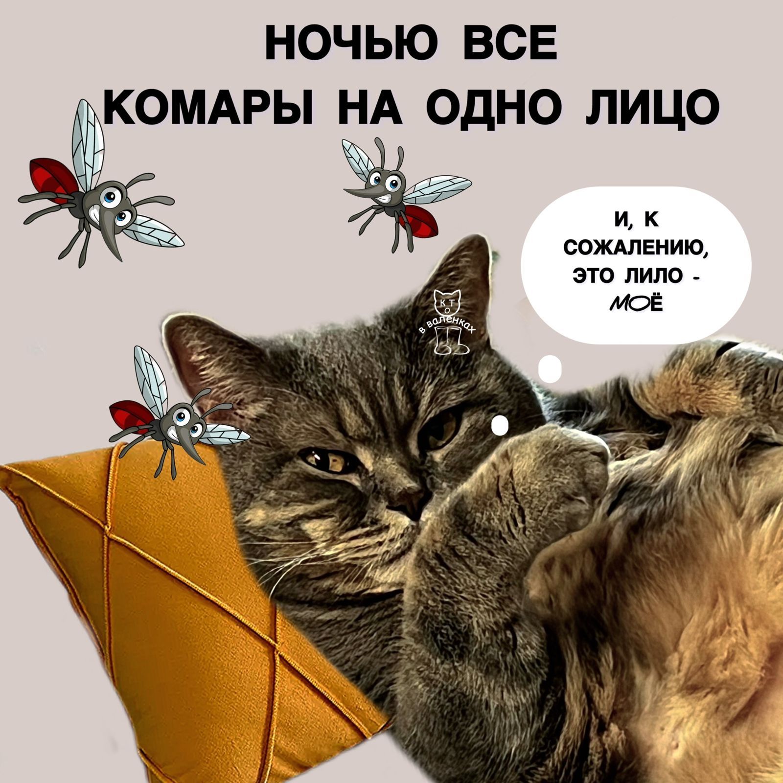 НОЧЬЮ ВСЕ КОМАРЫ НА ОДНО ЛИЦО И, К СОЖАЛЕНИЮ, ЭТО ЛИЛО - МОЁ