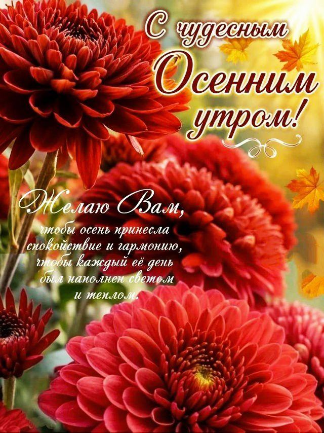 С чудесным осенним утром! Желаю Вам, чтобы осень принесла спокойствие и гармонию, чтобы каждый её день был наполнен светом и теплом.