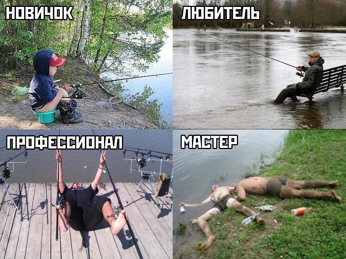 НОВИЧОК ЛЮБИТЕЛЬ ПРОФЕССИОНАЛ МАСТЕР. Ребенок сидит на горшке с удочкой. Мужчина сидит на затопленной скамейке и ловит рыбу. Мужчина лежит на пирсе с несколькими удочками. Два мужчины лежат без сознания на берегу с бутылками.