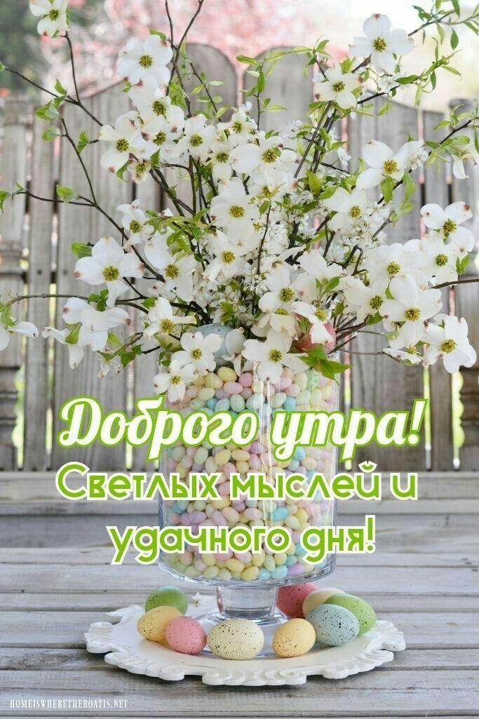 Доброго утра! Светлых мыслей и удачного дня!