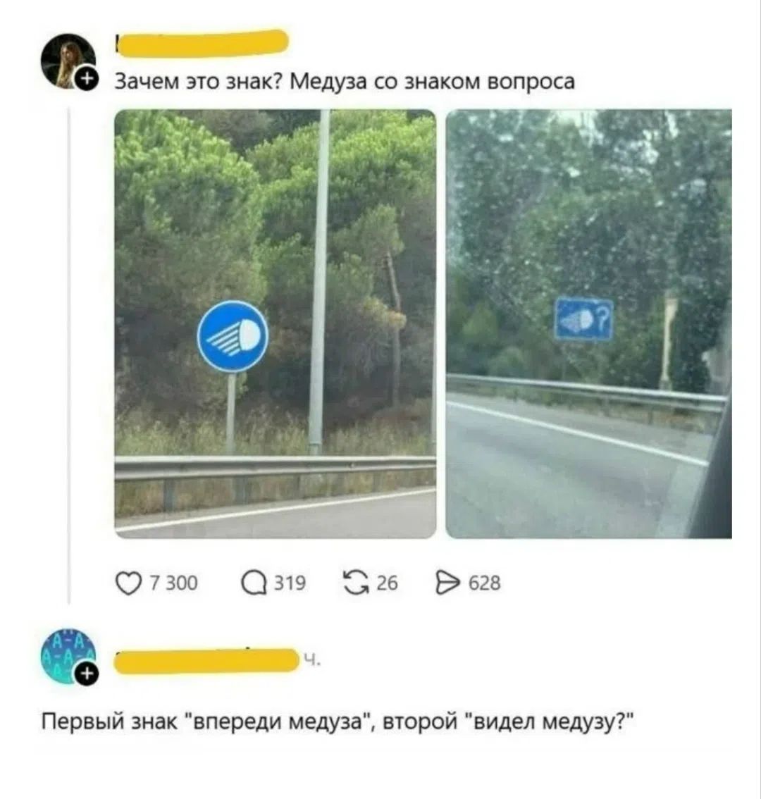 Зачем это знак? Медуза со знаком вопроса. Первый знак 'впереди медуза', второй 'видел медузу?'