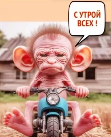 С у трой всех !