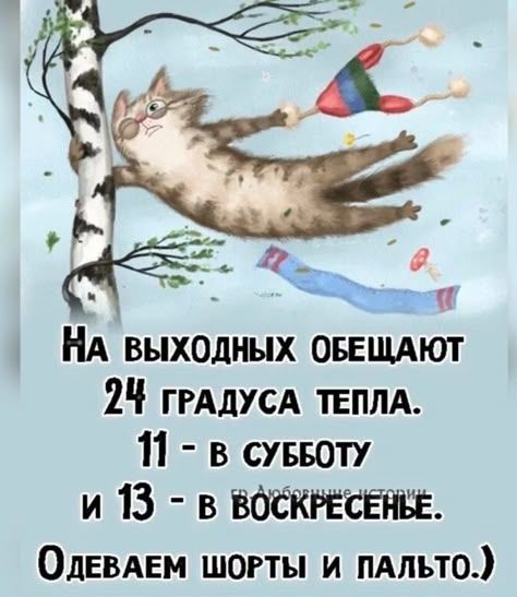 На выходных обещают 24 градуса тепла. 11 - в субботу и 13 - в воскресенье. Одеваем шорты и пальто.) гр. Любовные истории