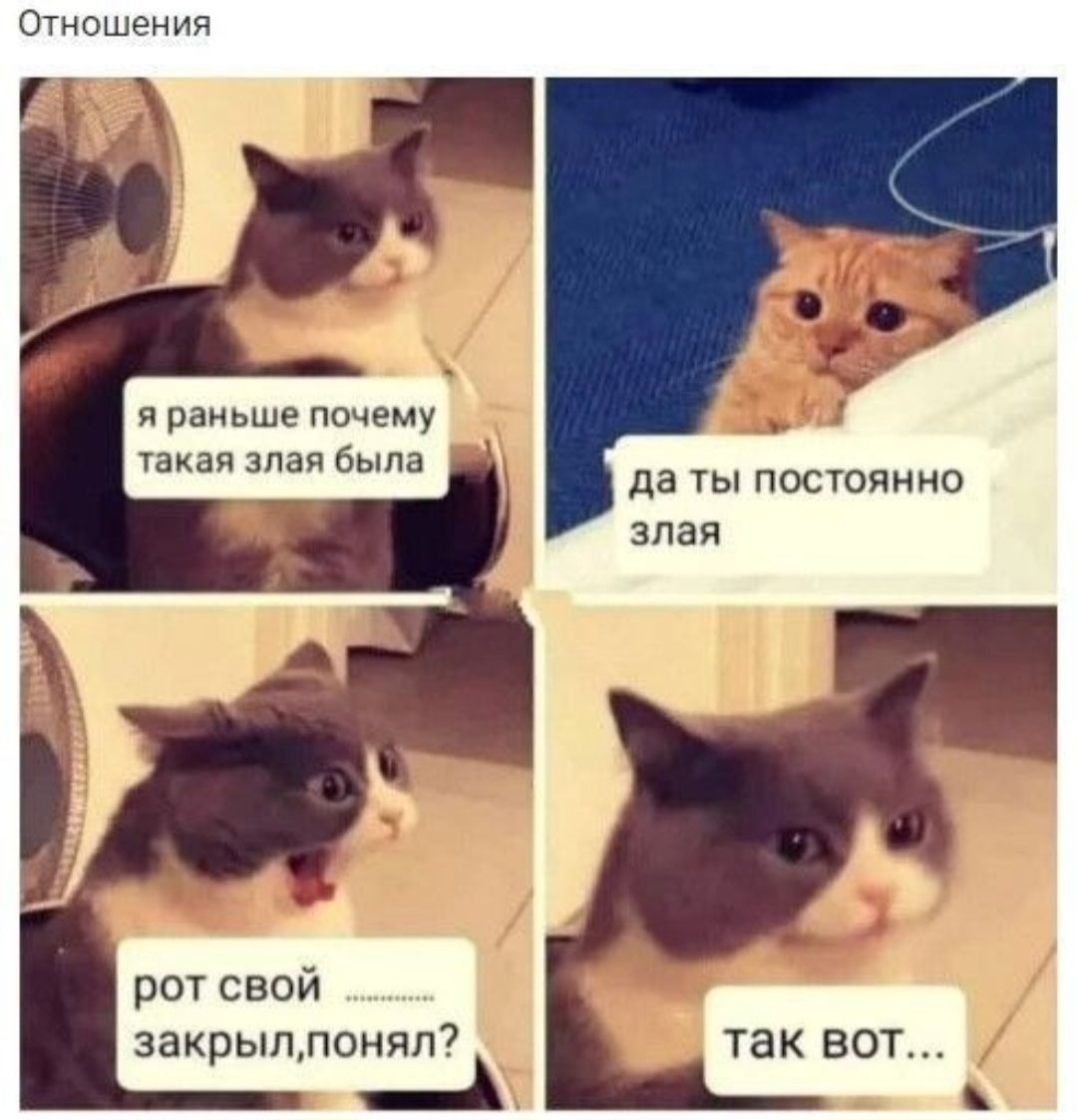 Отношения я раньше почему такая злая была да ты постоянно злая рот свой .......... закрыл,понял? так вот...