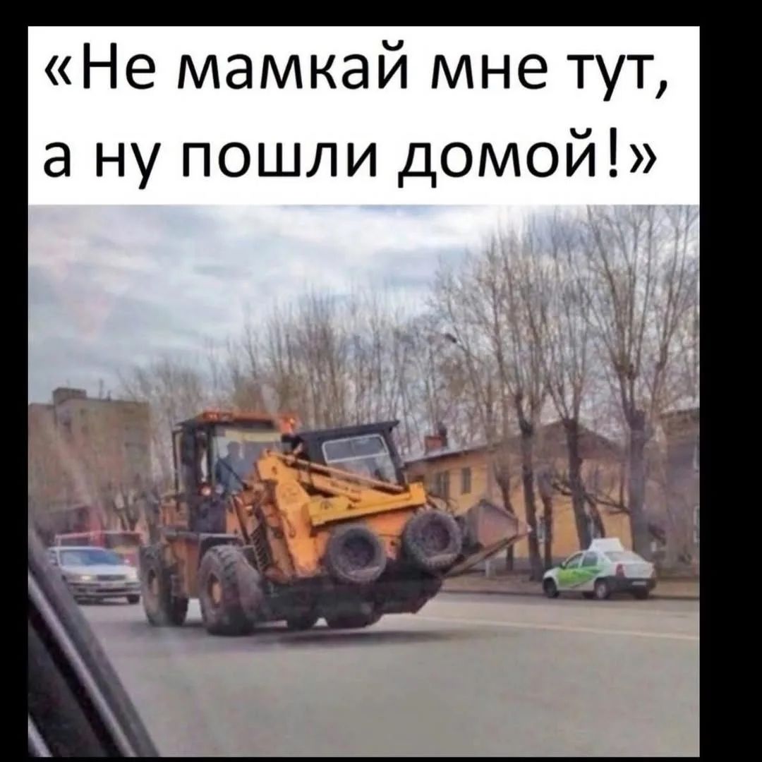 Не мамкай мне тут, а ну пошли домой!