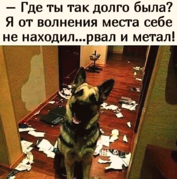 — Где ты так долго была? Я от волнения места себе не находил...рвал и метал!
