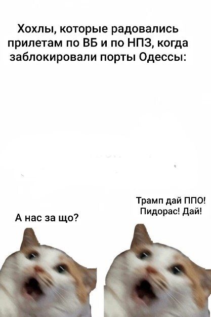 Хохлы, которые радовались прилетам по ВБ и по НПЗ, когда заблокировали порты Одессы:
А нас за що?
Трамп дай ППО! Пидорас! Дай!