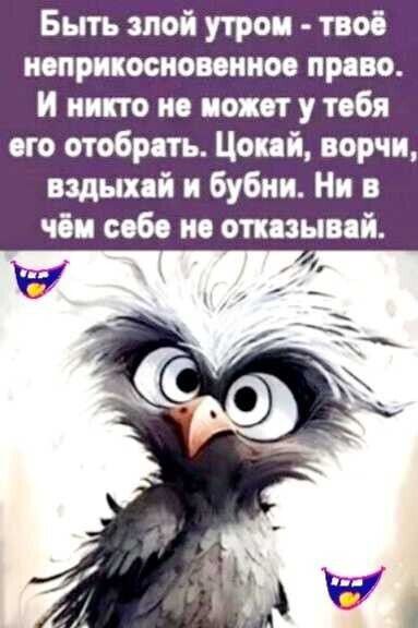 Быть злой утром - твоё неприкосновенное право. И никто не может у тебя его отобрать. Цокай, ворчи, вздыхай и бубни. Ни в чём себе не отказывай.