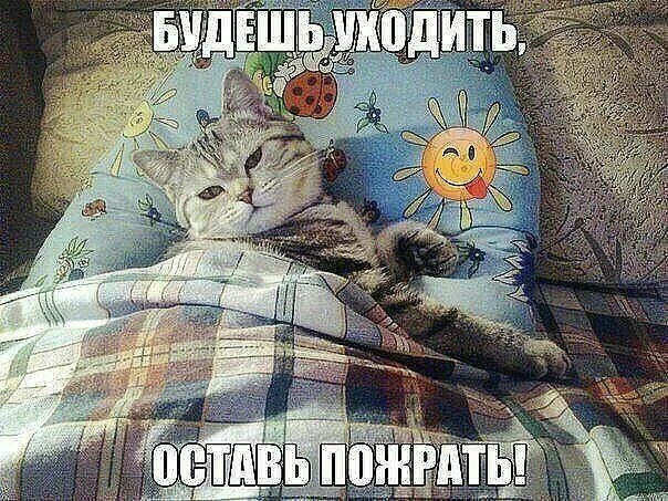 БУДЕШЬ УХОДИТЬ, ОСТАВЬ ПОЖРАТЬ!