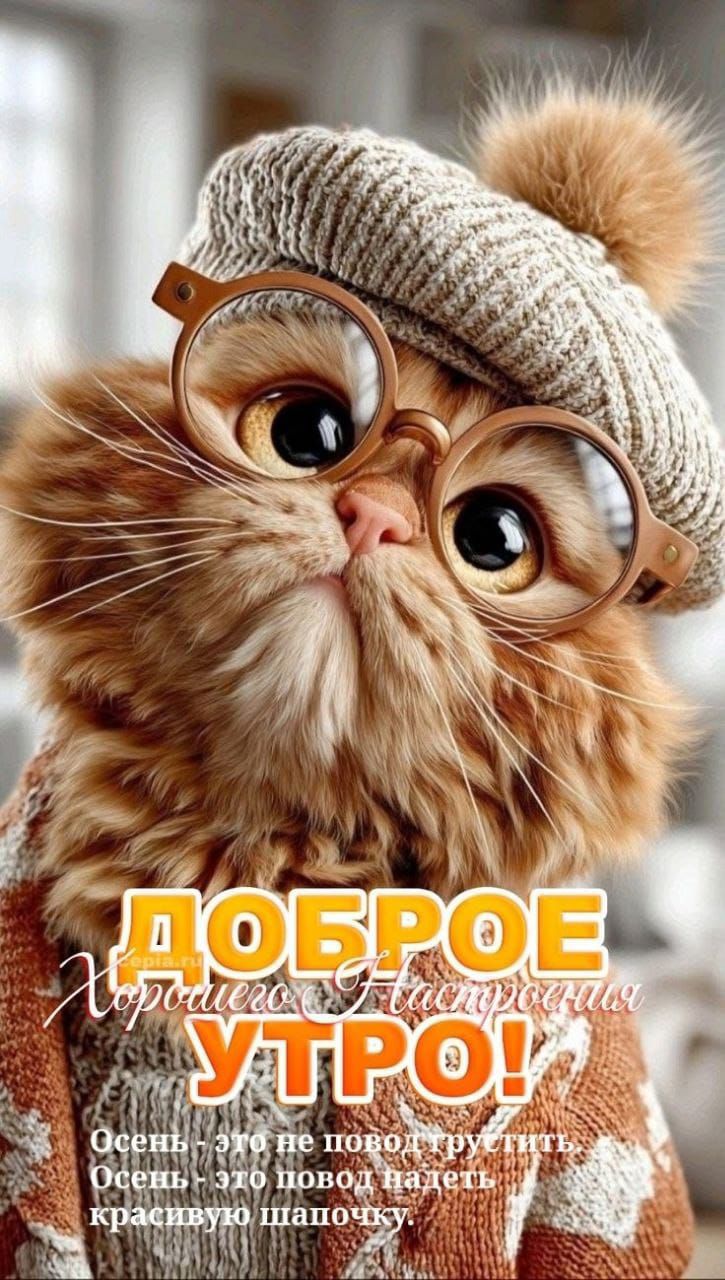 ДОБРОЕ УТРО! Хорошего настроения. Осень - это не повод грустить, осень - это повод надеть красивую шапочку.