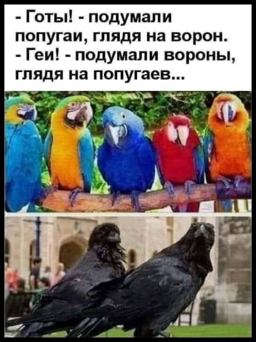 - Готы! - подумали попугаи, глядя на ворон. - Геи! - подумали вороны, глядя на попугаев...
