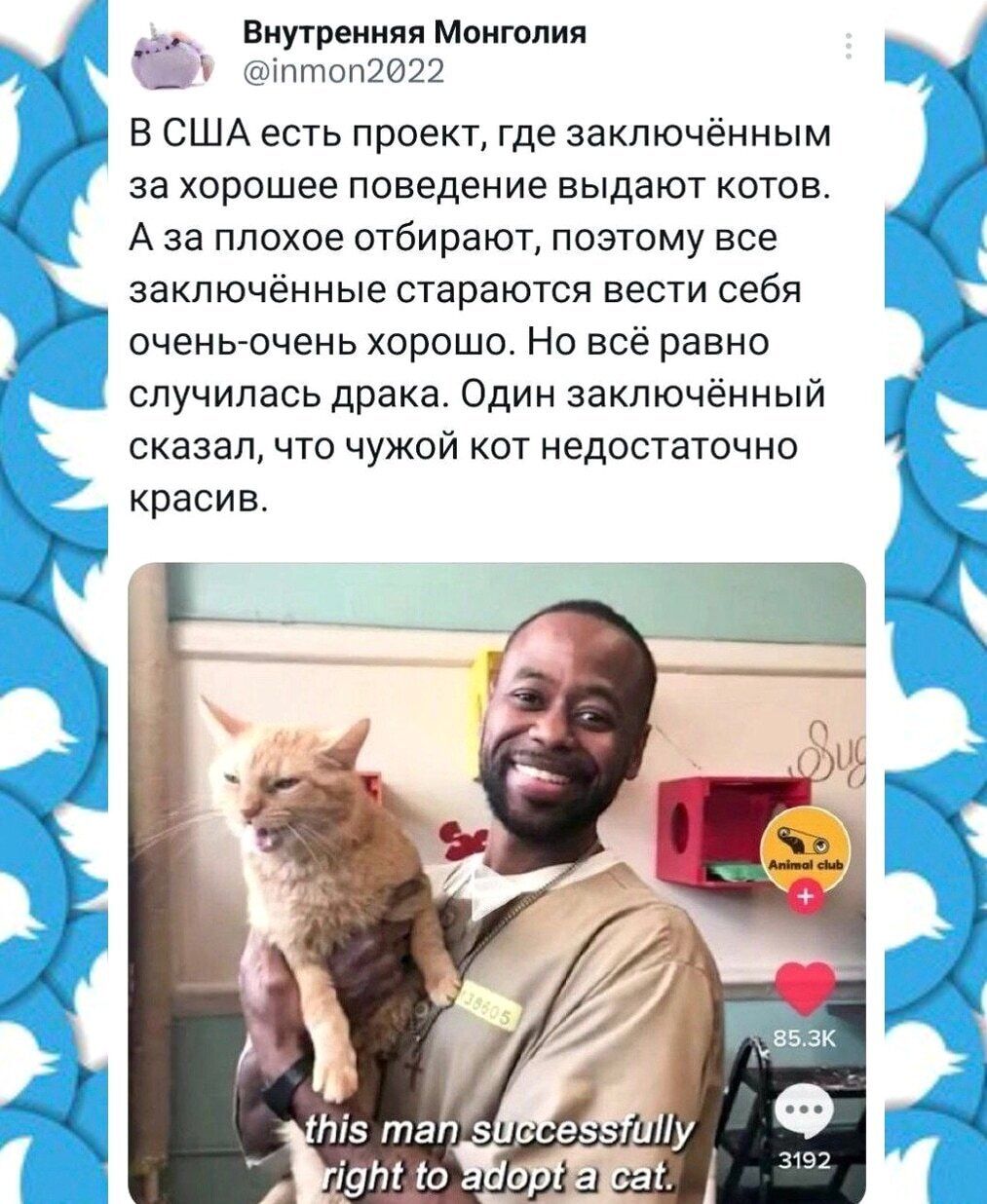 Внутренняя Монголия @inmon2022 В США есть проект, где заключённым за хорошее поведение выдают котов. А за плохое отбирают, поэтому все заключённые стараются вести себя очень-очень хорошо. Но всё равно случилась драка. Один заключённый сказал, что чужой кот недостаточно красив. this man successfully right to adopt a cat.