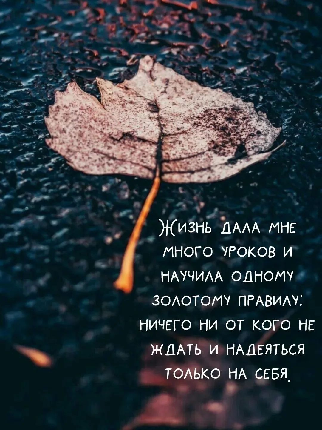Жизнь дала мне много уроков и научила одному золотому правилу: ничего ни от кого не ждать и надеяться только на себя.