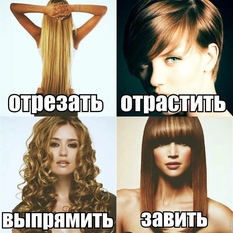Отрезать, отрастить, выпрямить, завить