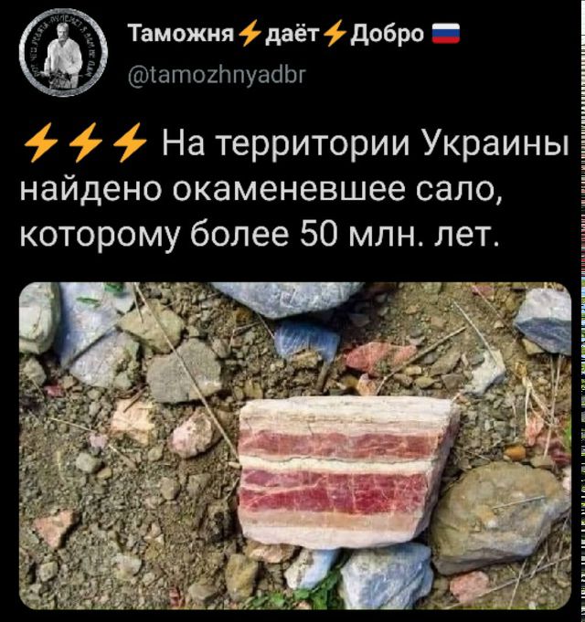 Таможня ⚡ дает ⚡ Добро 🇷🇺 @tamozhnyadbr ⚡⚡⚡ На территории Украины найдено окаменевшее сало, которому более 50 млн. лет.