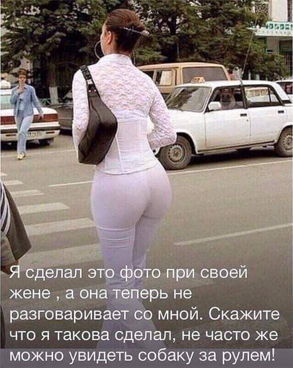 Я сделал это фото при своей жене , а она теперь не разговаривает со мной. Скажите что я такова сделал, не часто же можно увидеть собаку за рулем!