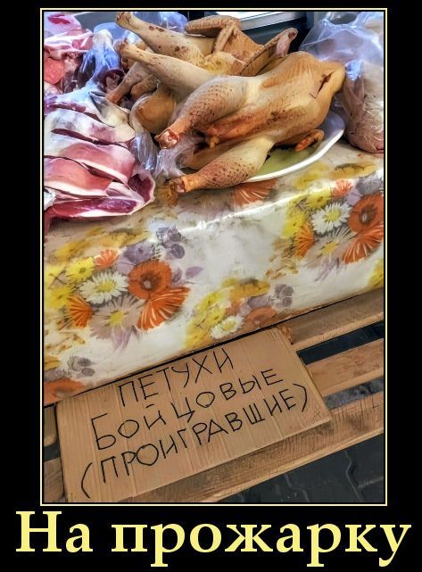 ПЕТУХИ БОЙЦОВЫЕ (ПРОИГРАВШИЕ). На прожарку