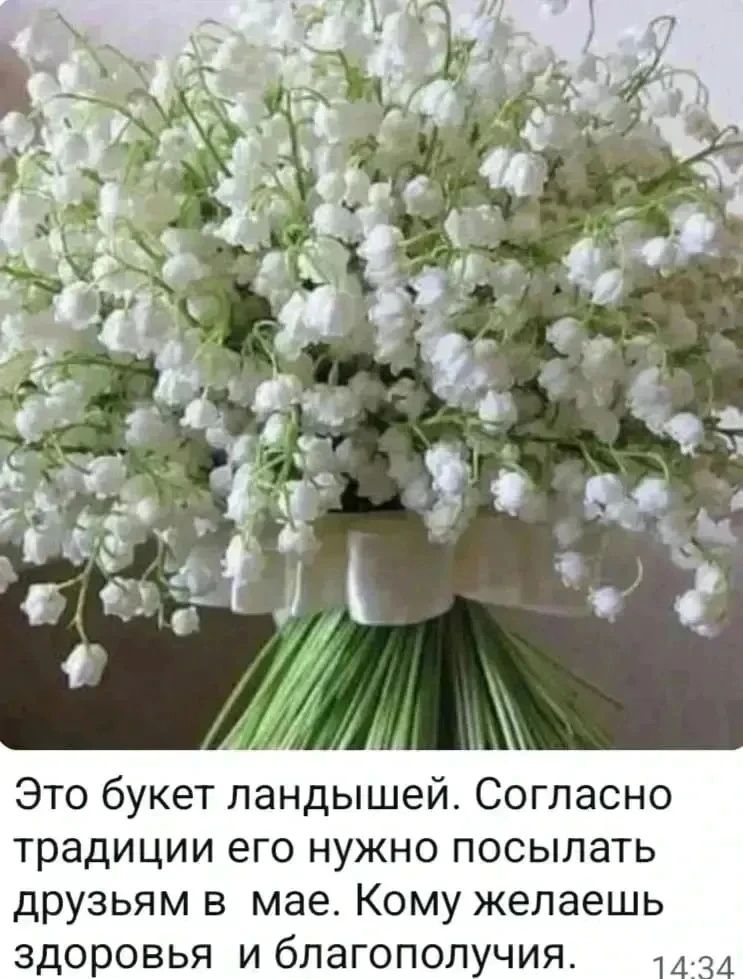 Это букет ландышей. Согласно традиции его нужно посылать друзьям в мае. Кому желаешь здоровья и благополучия. 14:34