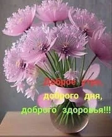 Доброе утро, доброго дня, доброго здоровья!!!