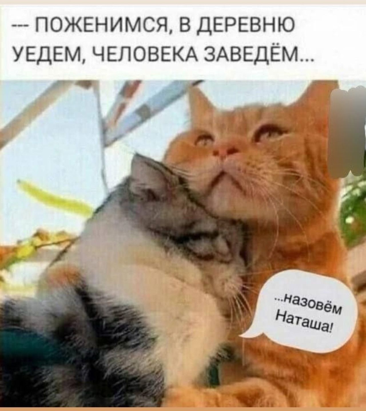 --- ПОЖЕНИМСЯ, В ДЕРЕВНЮ УЕДЕМ, ЧЕЛОВЕКА ЗАВЕДЁМ... ...назовём Наташа!