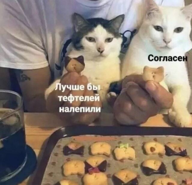 Лучше бы тефтелей налепили Согласен