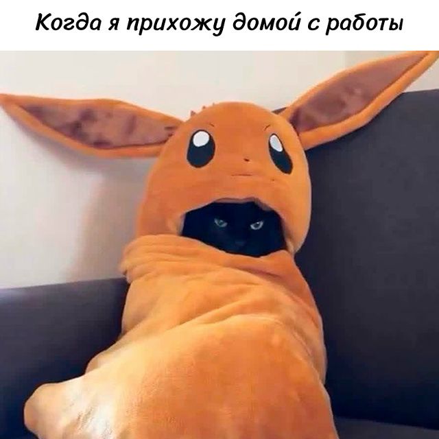 Когда я прихожу домой с работы
