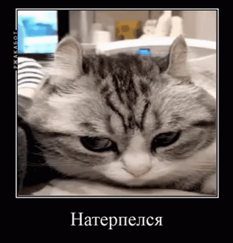 Натерпелся
