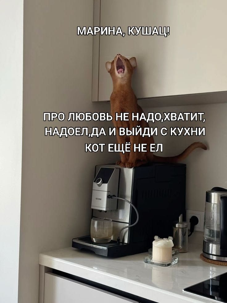 МАРИНА, КУШАЦ! ПРО ЛЮБОВЬ НЕ НАДО, ХВАТИТ, НАДОЕЛ, ДА И ВЫЙДИ С КУХНИ КОТ ЕЩЁ НЕ ЕЛ