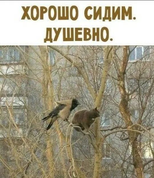 ХОРОШО СИДИМ. ДУШЕВНО.