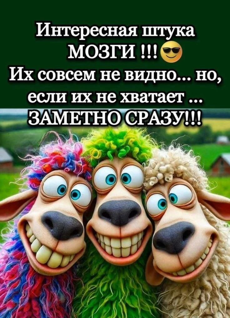 Интересная штука МОЗГИ !!! 😎 Их совсем не видно... но, если их не хватает ... ЗАМЕТНО СРАЗУ!!!