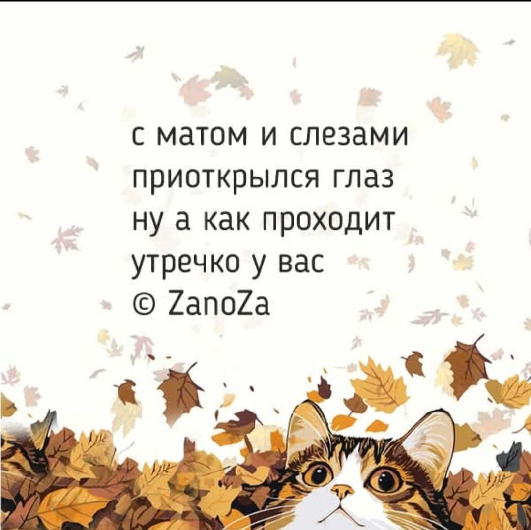 с матом и слезами приоткрылся глаз ну а как проходит утречко у вас © ZanoZa