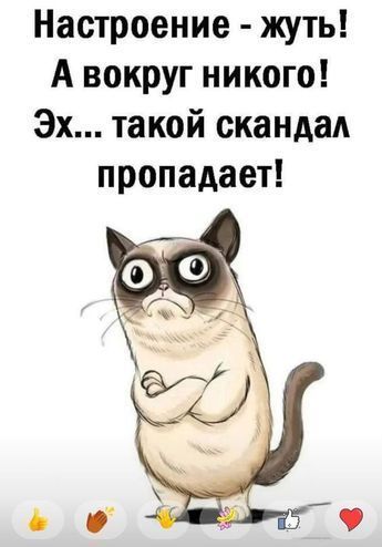 Настроение - жуть! А вокруг никого! Эх... такой скандал пропадает!