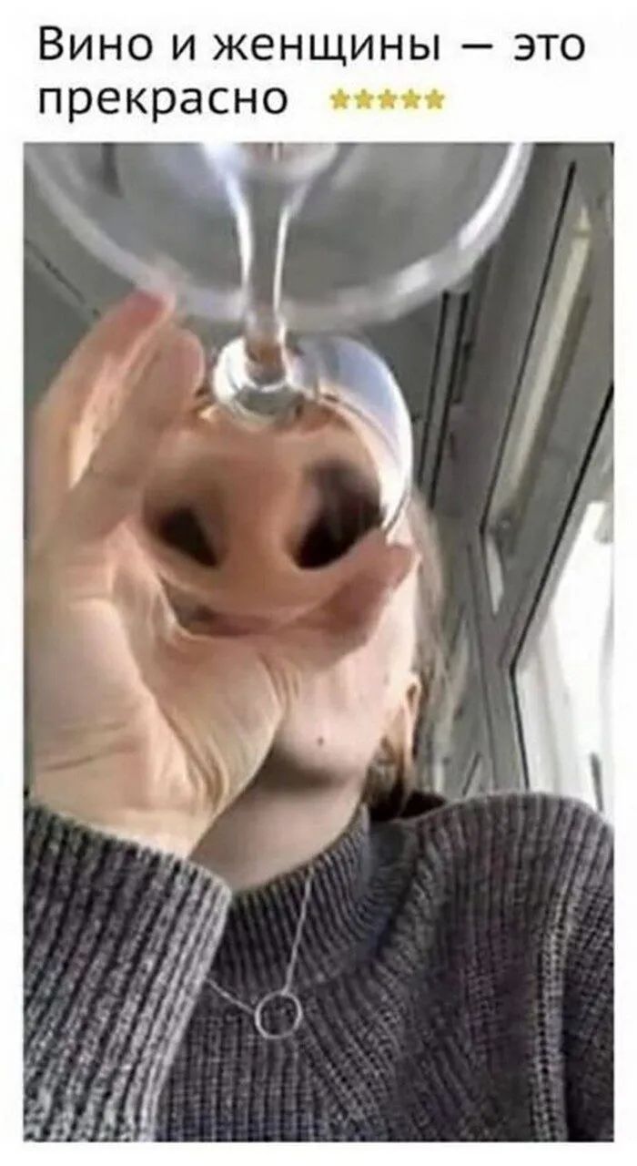 Вино и женщины — это прекрасно ⭐⭐⭐⭐⭐