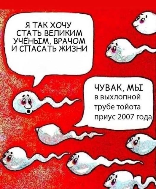 Я так хочу стать великим учёным, врачом и спасать жизни — Чувак, мы в выхлопной трубе тойота приус 2007 года